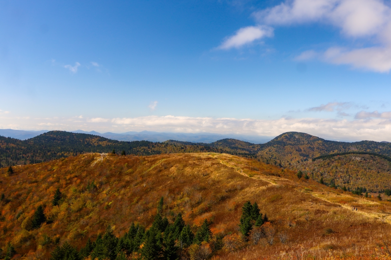 An image depicting the trail Shining Rock via Ivestor Gap Trail and its surrounding area.