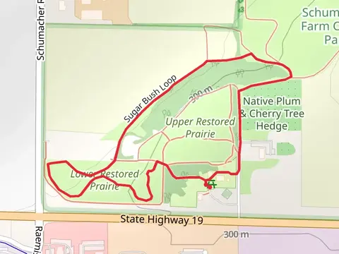 Restored Prairie Loop