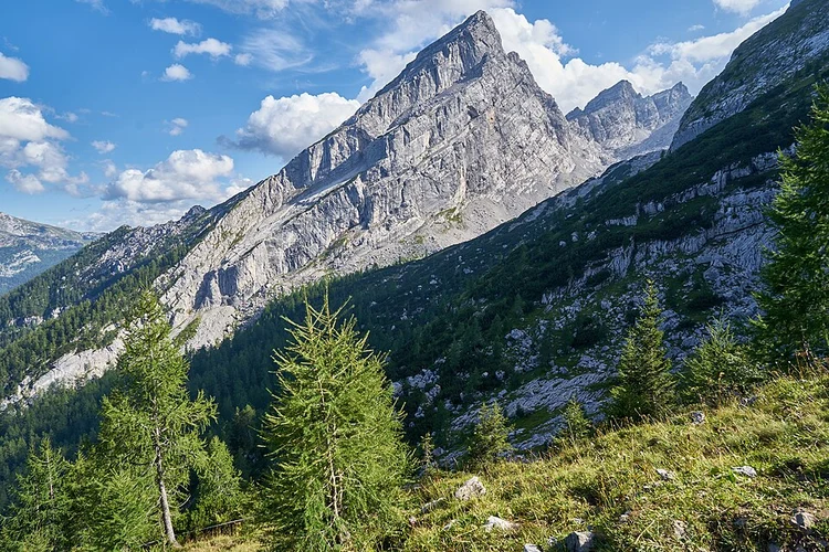 Königssee to Falzkopf Walk