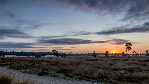 Nieuwkuijk to De Oost via Hertogenpad