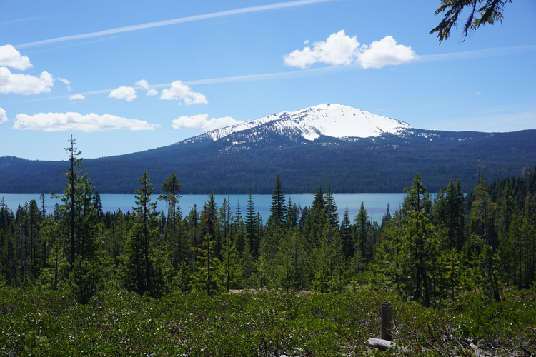 Mount Bailey Trail