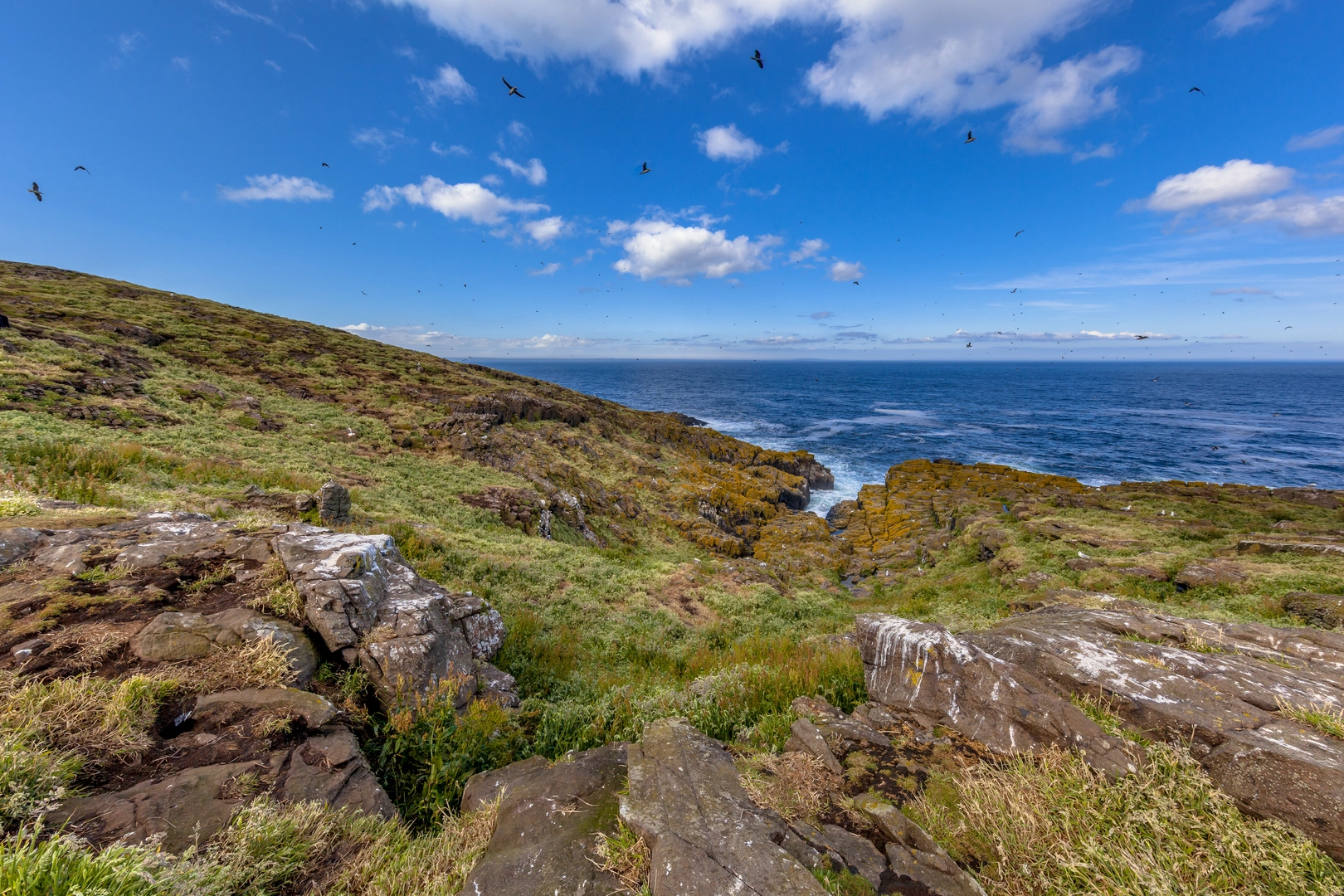 An image depicting the trail The Isle of May Loop and its surrounding area.