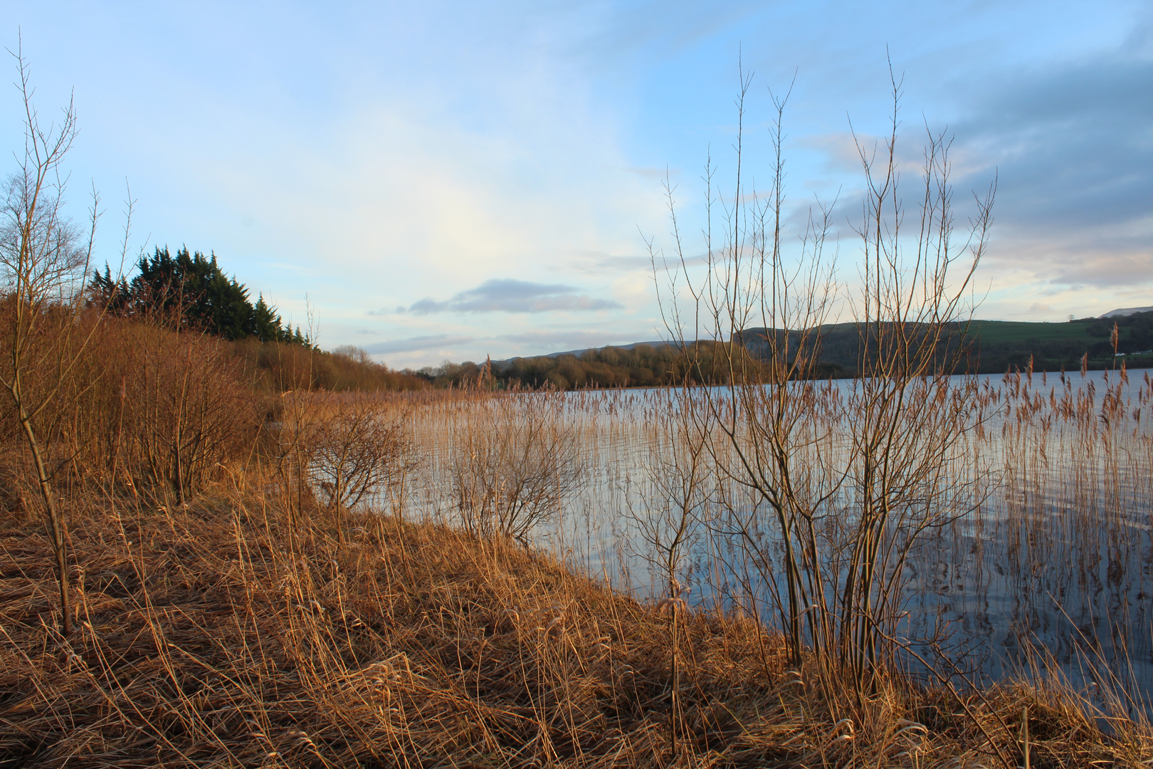 An image depicting the trail Glenfarne - Demesne Walk Trail and its surrounding area.