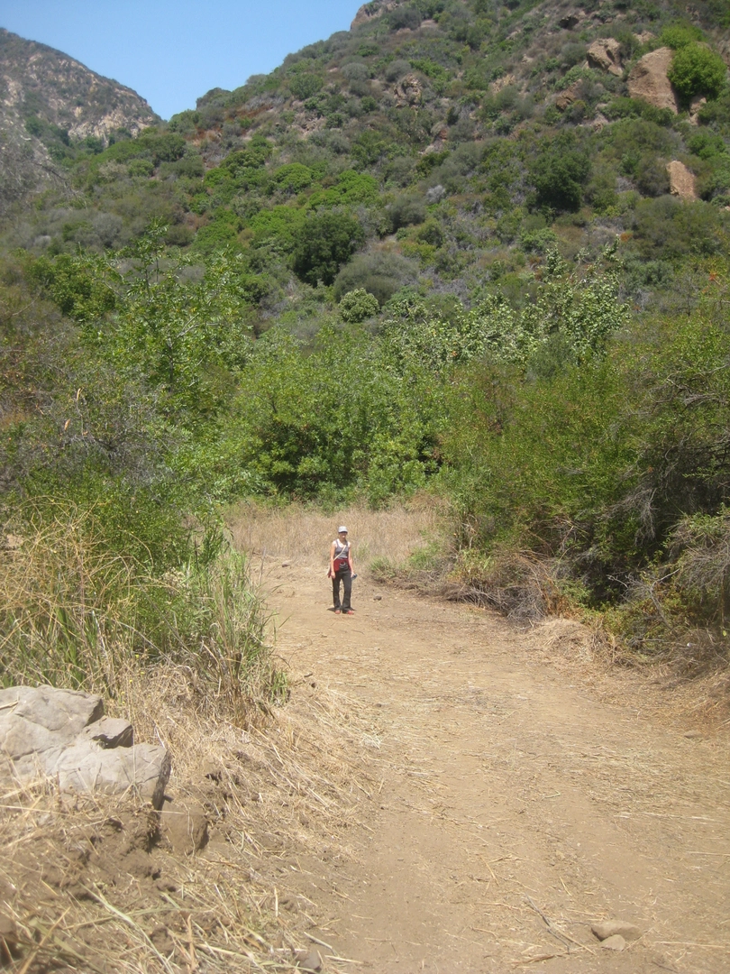An image depicting the trail Backbone Trail - Zuma Canyon and its surrounding area.