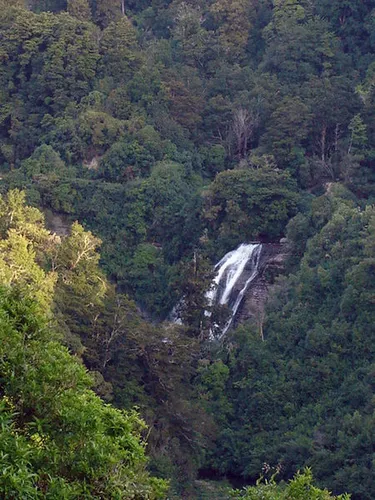 Mokau Stream Track