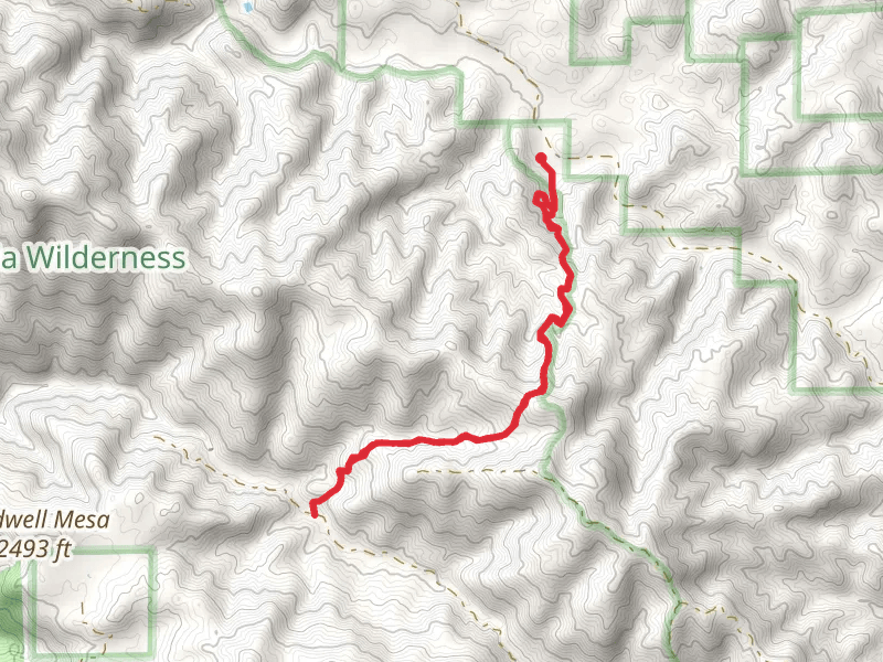 Avenales Trail