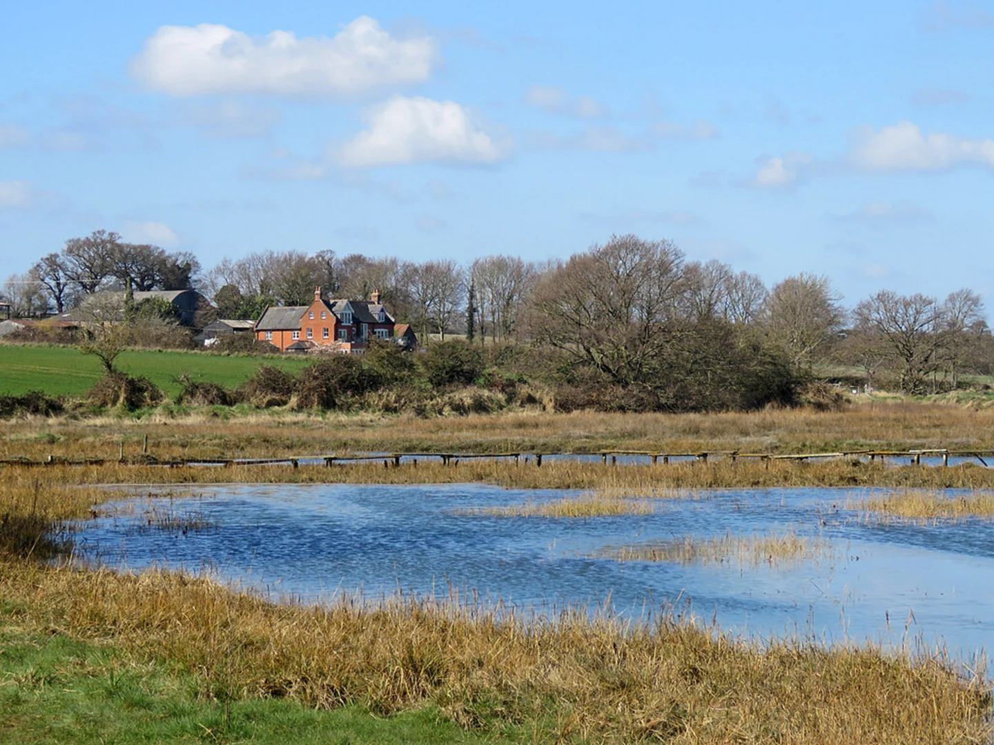 An image depicting the trail River Deben and Waldringfield Loop and its surrounding area.