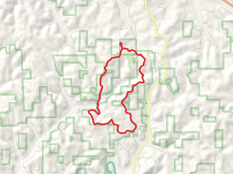 Youngs Creek Loop