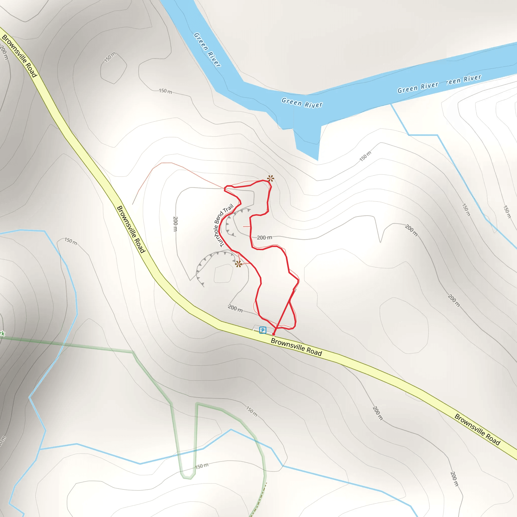 Brownsville Road Loop mobile static map