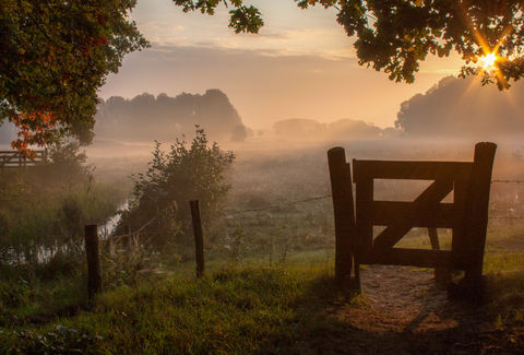 De Achterste, Park Hemelrijk, Schaijksche and De Geelders Loop