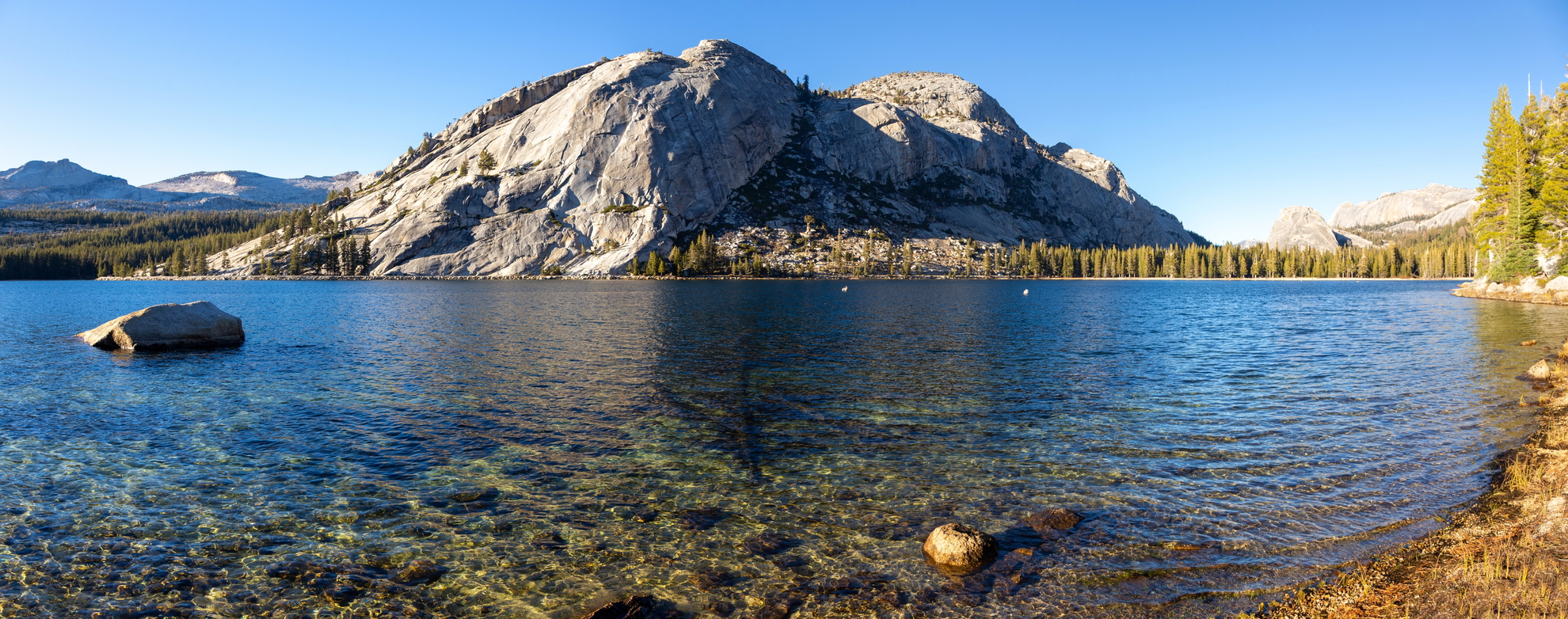 An image depicting the trail Tenaya Lake Out and Back and its surrounding area.