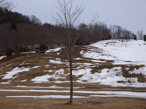 McCauley Mountain Trail
