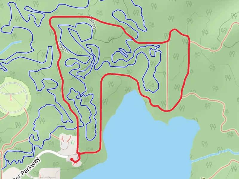 Trail 1 Loop