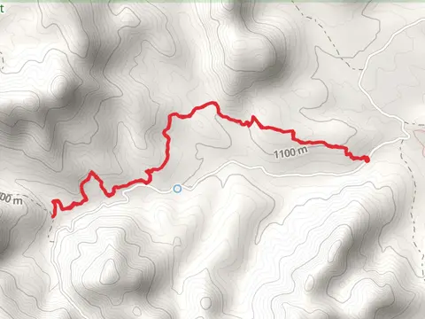 Puerto Trail