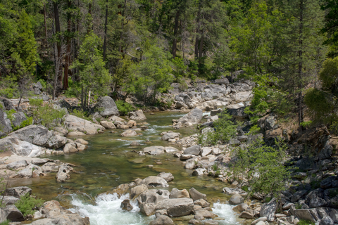 Ganns Trail