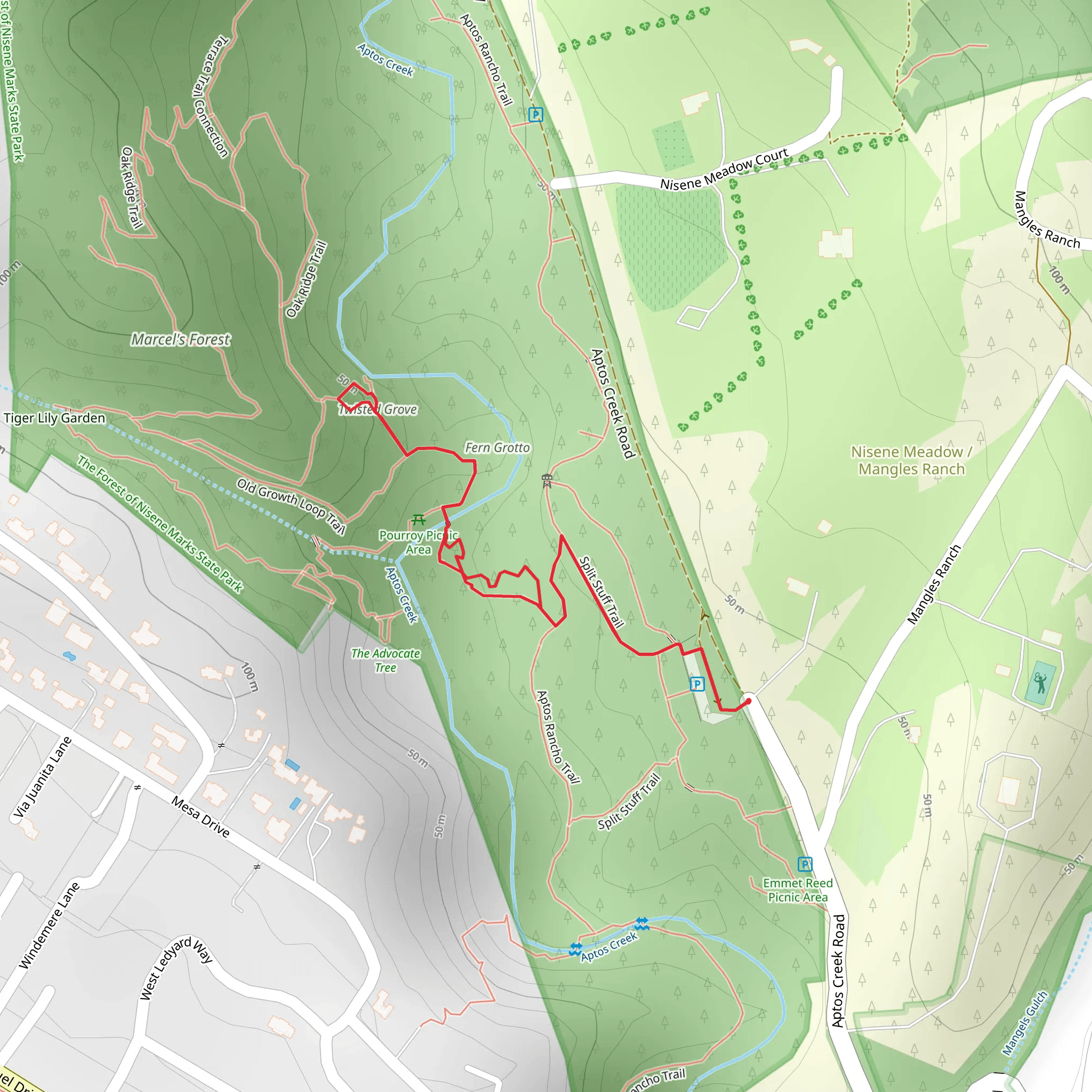 Split Stuff Trail and Old Growth Loop Trail mobile static map