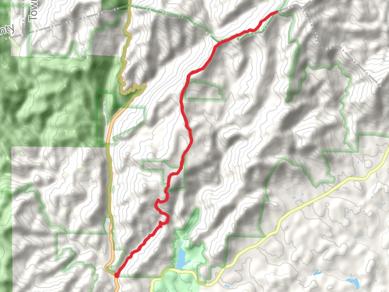 Tray Mountain Road
