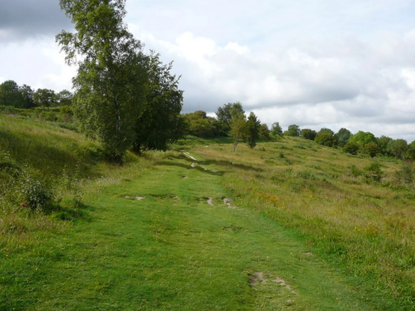 An image depicting the trail Bacombe Hill LNR, Coombe Hill and Lodge Hill Loop and its surrounding area.