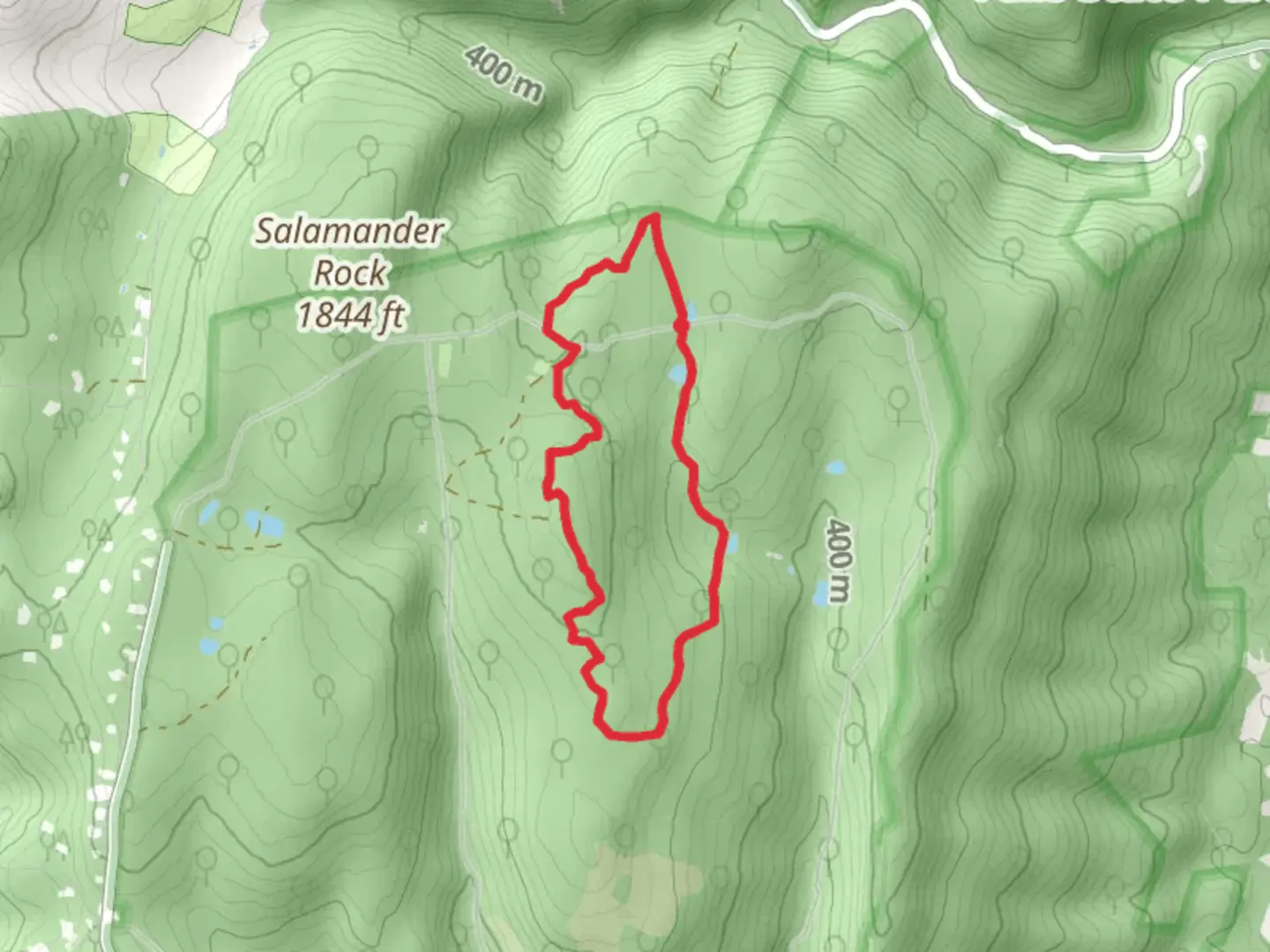 An image depicting the trail Salamander, Iceburg and Salamander Loop Trail and its surrounding area.