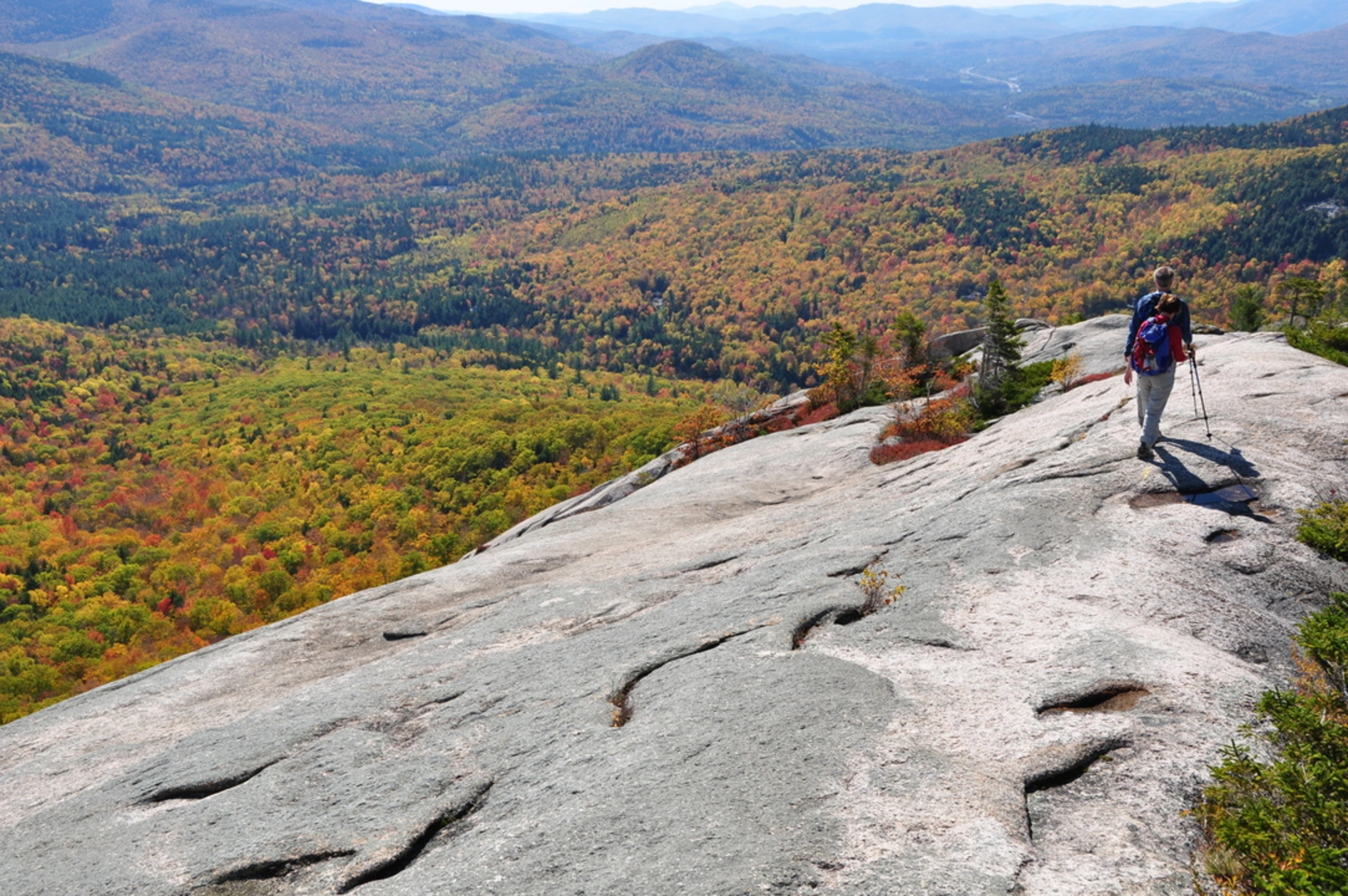 An image depicting the trail Yellow Jacket Trail and its surrounding area.