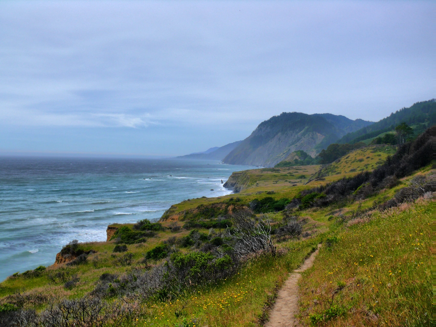 An image depicting the trail Hotel Gulcht Camp to Orchard Camp - Lost Coast Trail and its surrounding area.