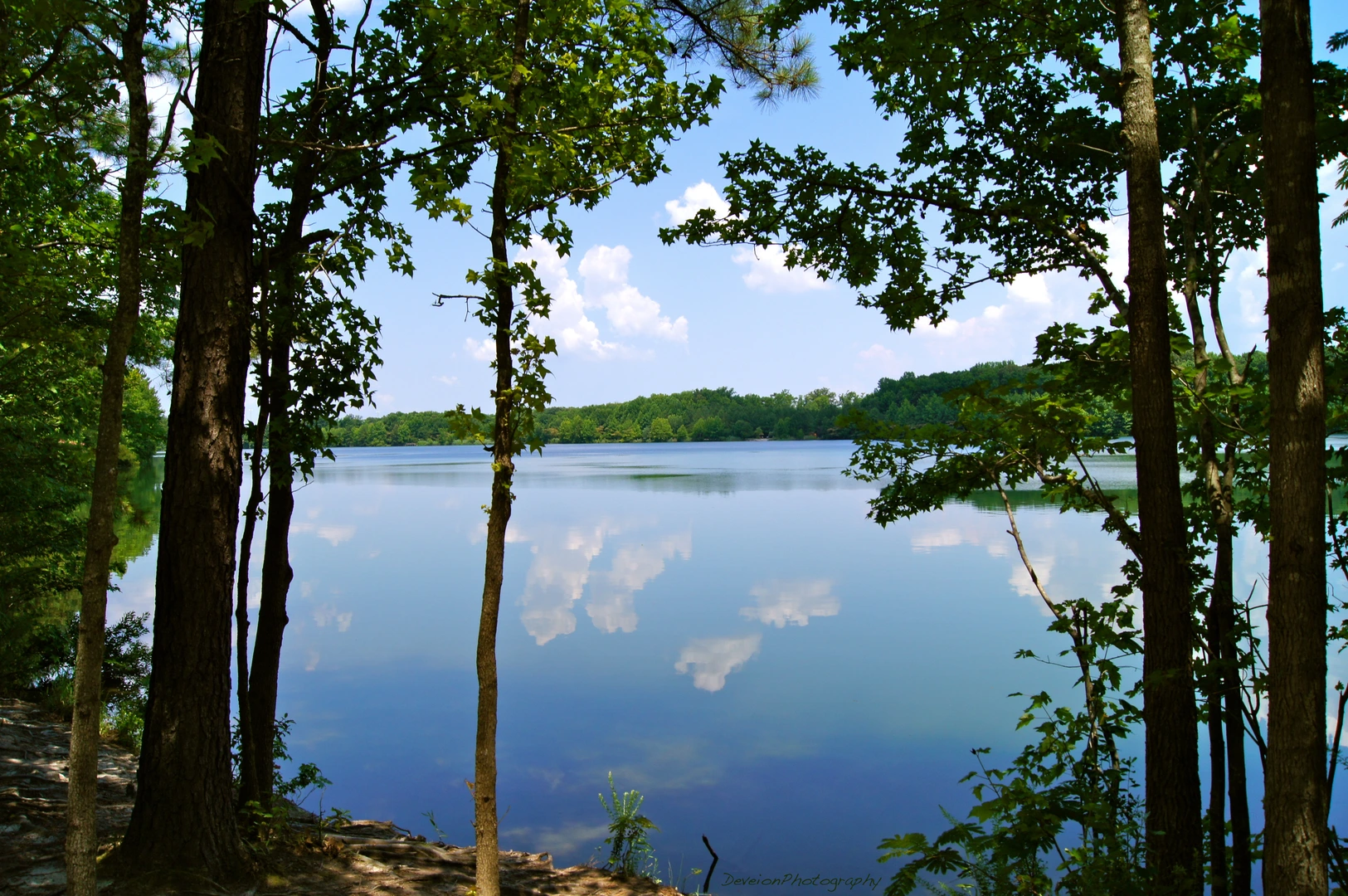 An image depicting the trail Oak Grove Lake Loop and its surrounding area.