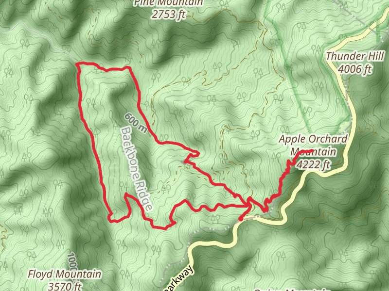 Apple Orchard Mountain, Appalachian and Cornelius Creek Loop Trail