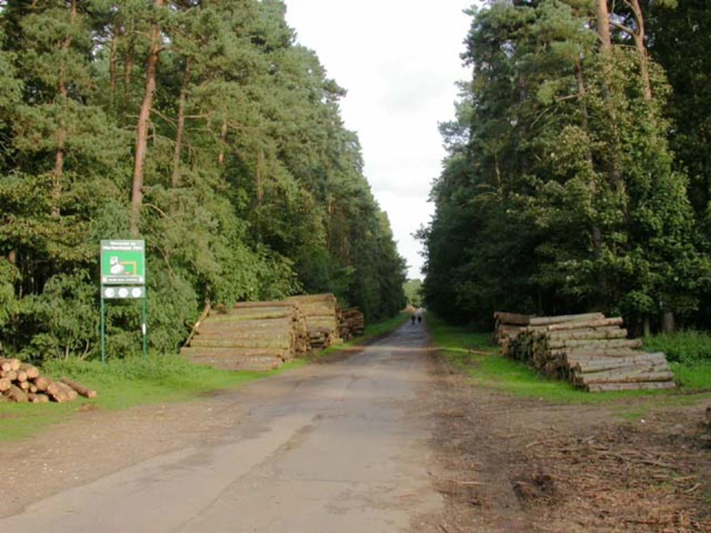 An image depicting the trail Harlestone Firs and Dallington Heath Loop and its surrounding area.