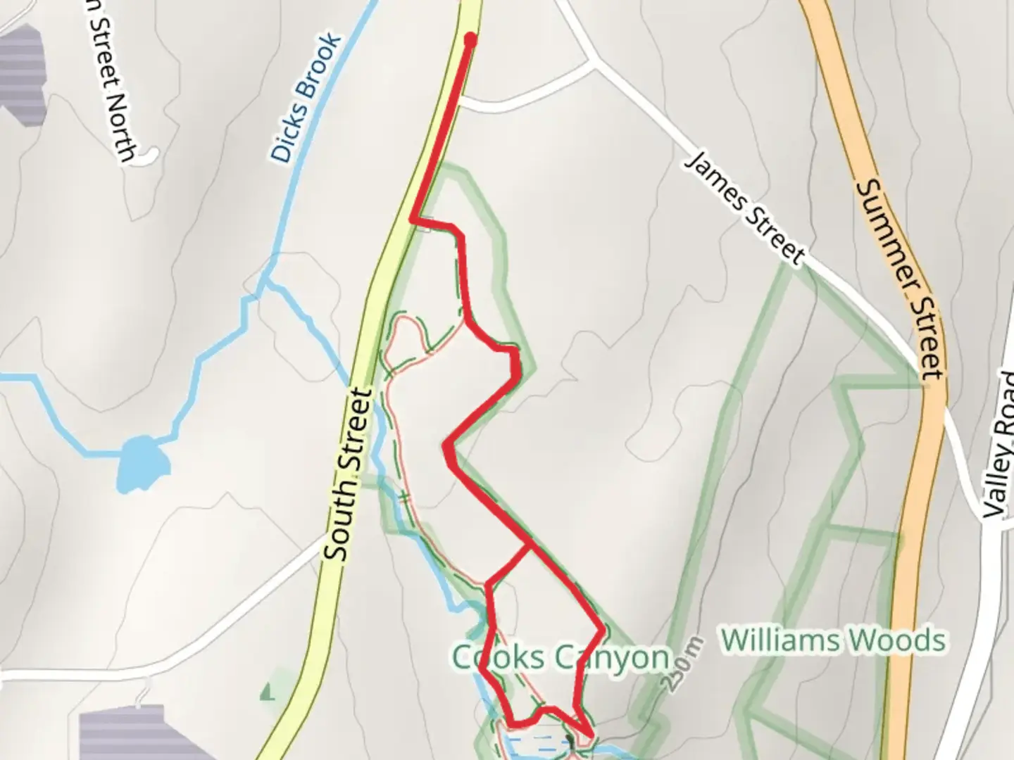 An image depicting the trail Galloway Brook from South Street and its surrounding area.