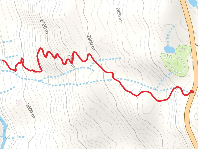 Sunshine Trail