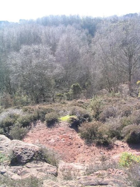 Heswall Dales