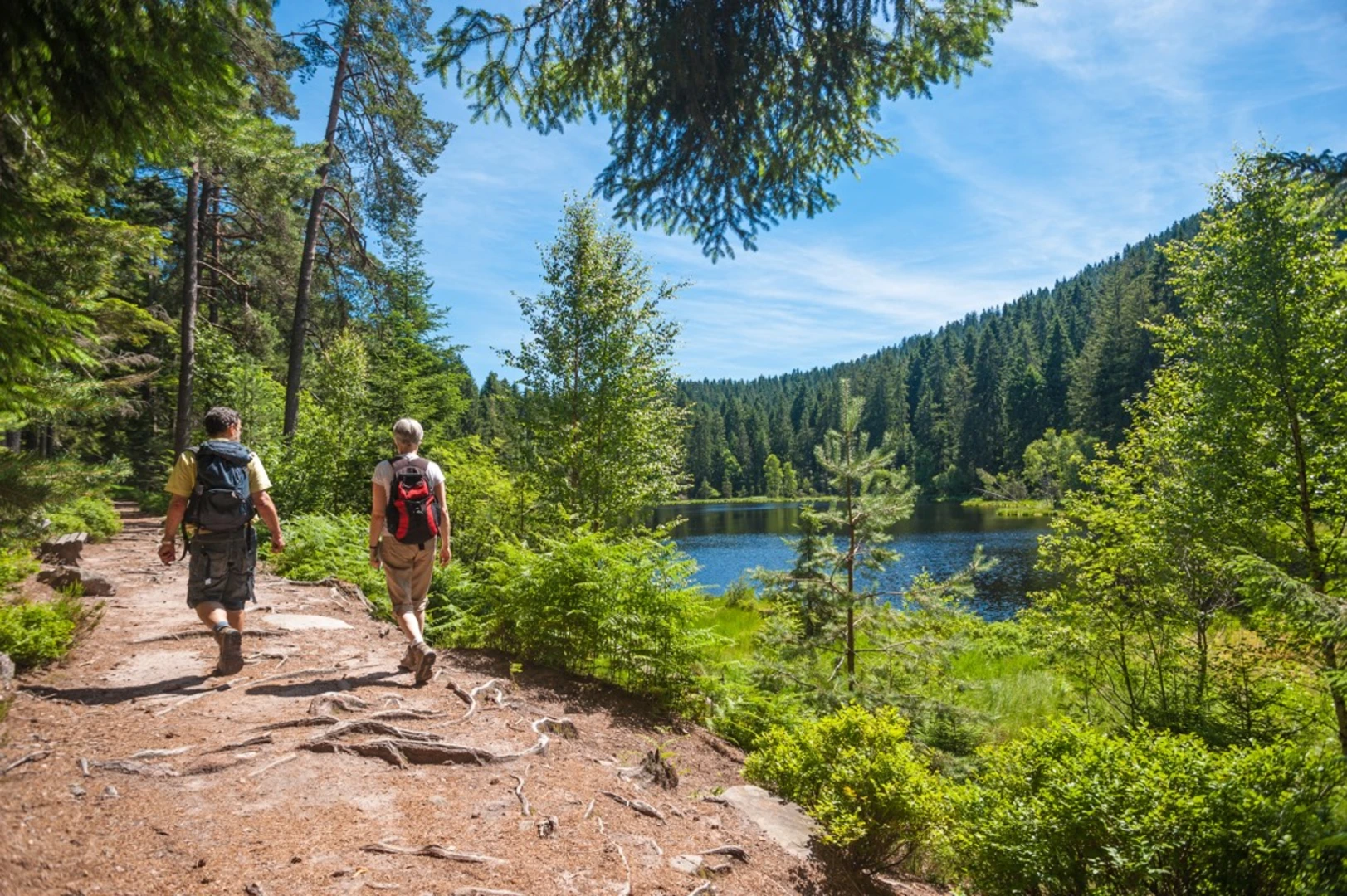 An image depicting the trail Westweg and its surrounding area.