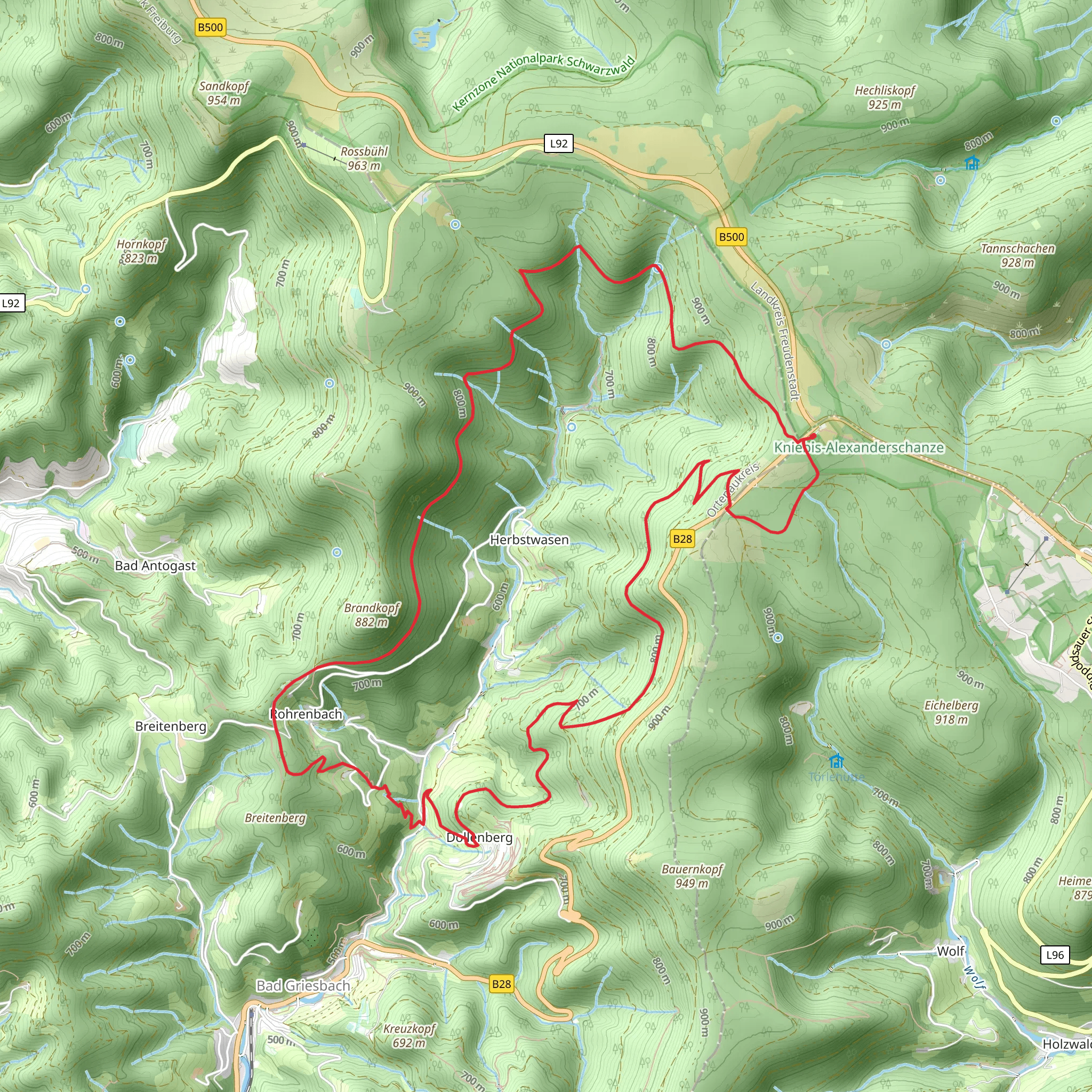 Bei der Schanz, Wilde Rench and Rohrenbach Loop mobile static map