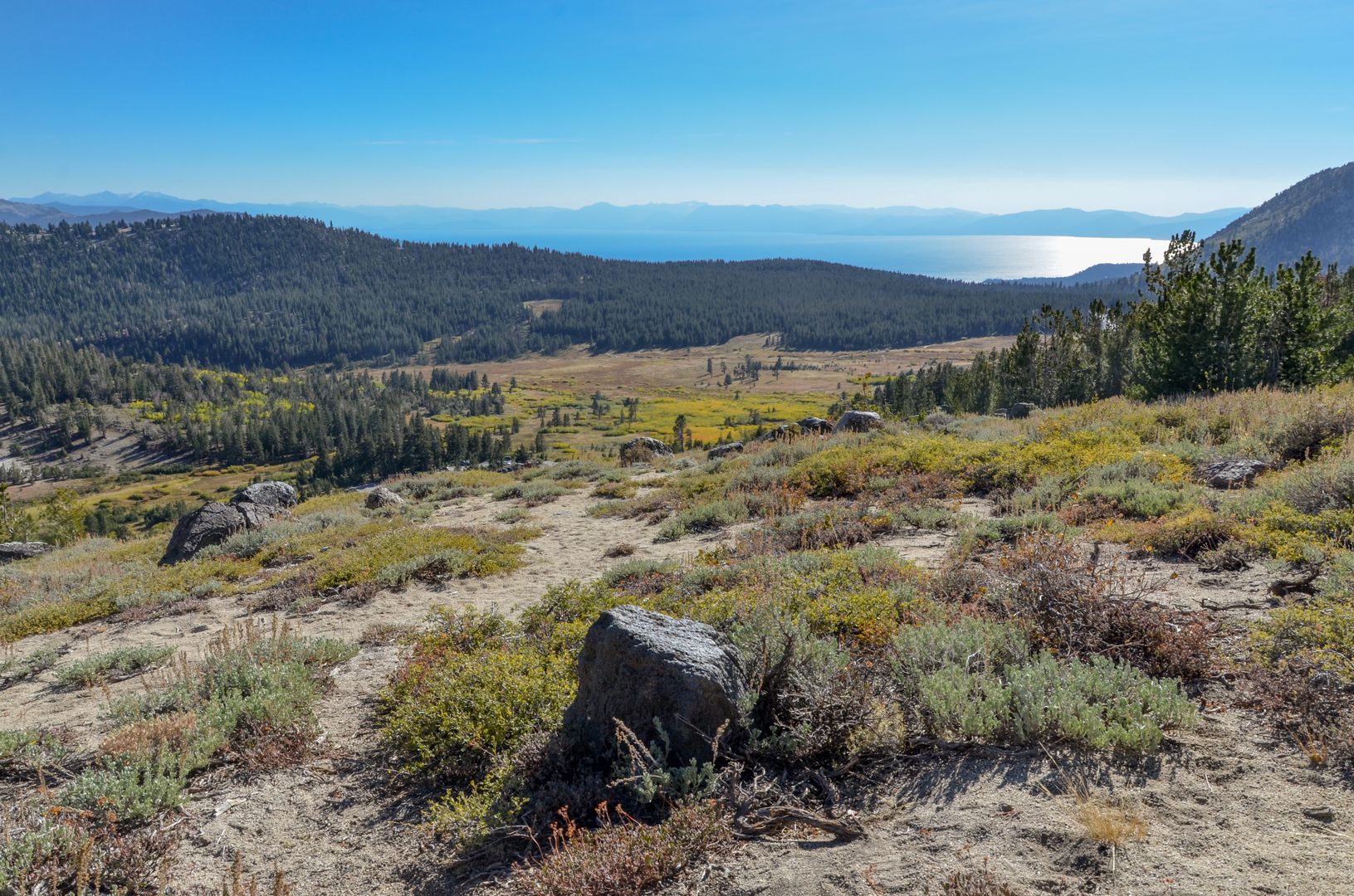 An image depicting the trail Saxon Creek -Tahoe Rim Trail and its surrounding area.