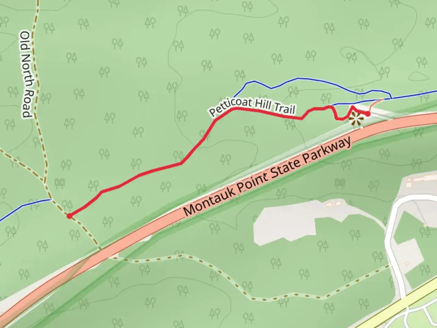 An image depicting the trail Petticoat Hill Trail and its surrounding area.