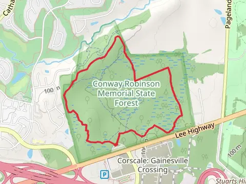 Blue Loop Trail