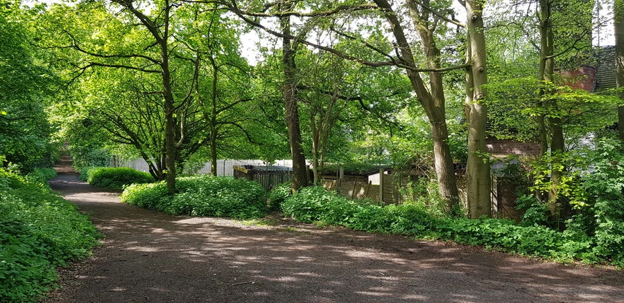 Rhydd Covert and Burlish Top Nature Reserve