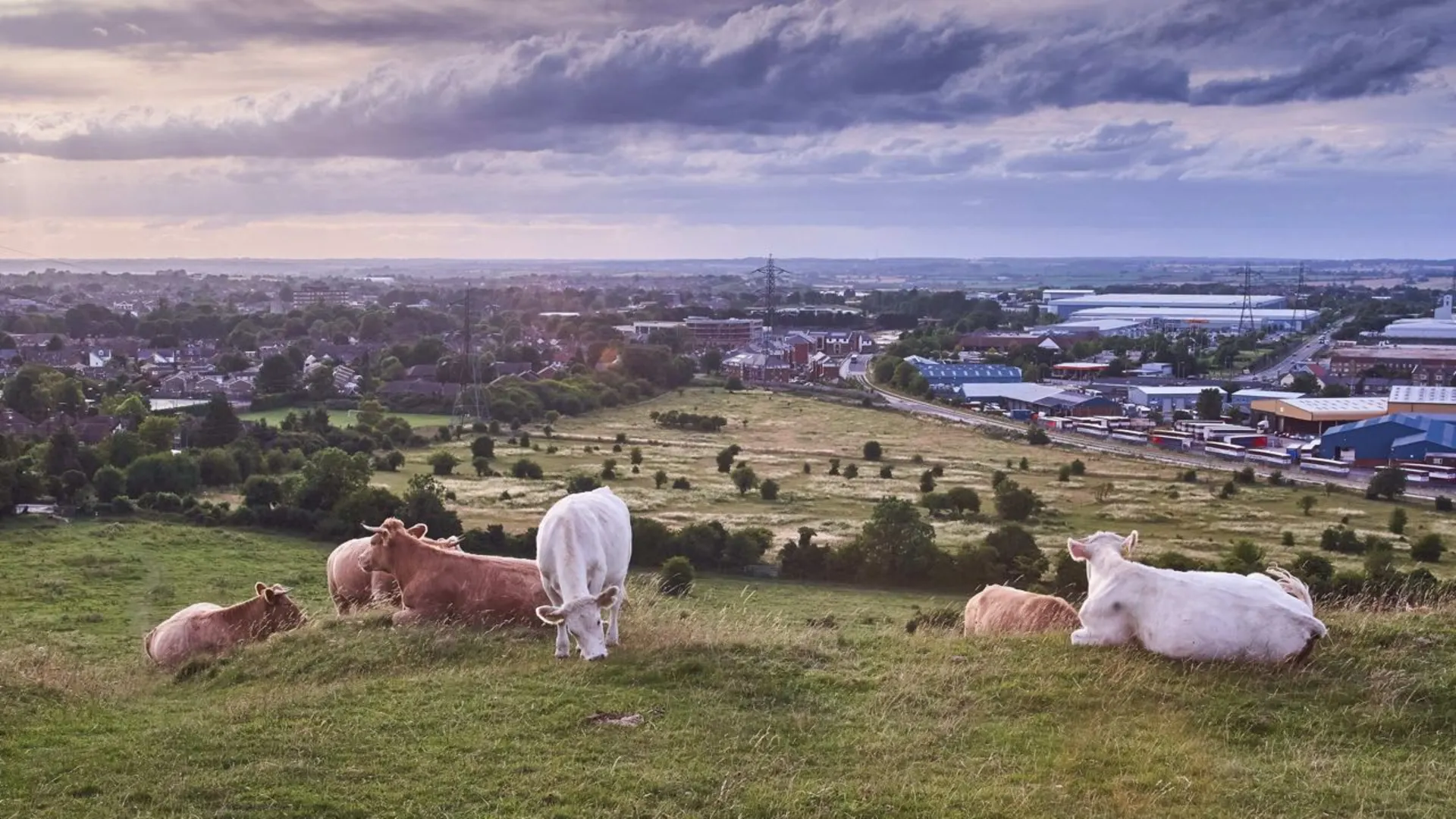An image depicting the trail Icknield Way Trail and its surrounding area.