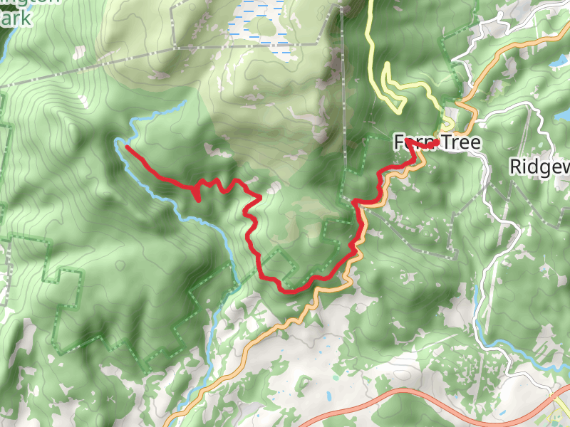 Fern Tree to Wellington Falls Trail