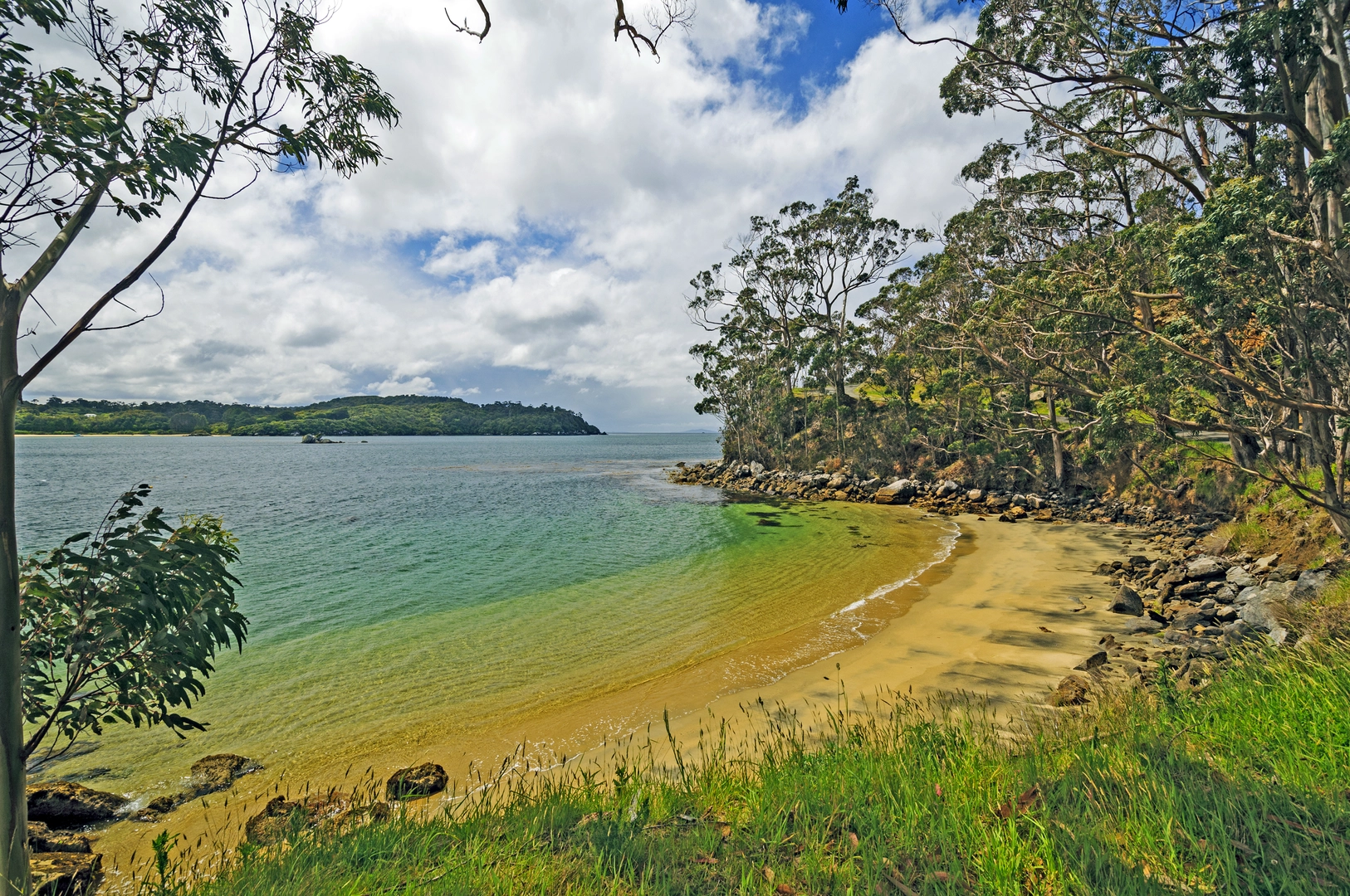 An image depicting the trail Ocean Beach Track and its surrounding area.