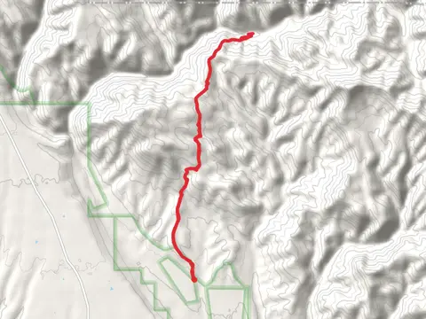 Mogollon Creek Trail Out and Back