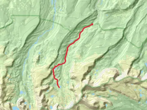 Henry's Fork Basin Trail
