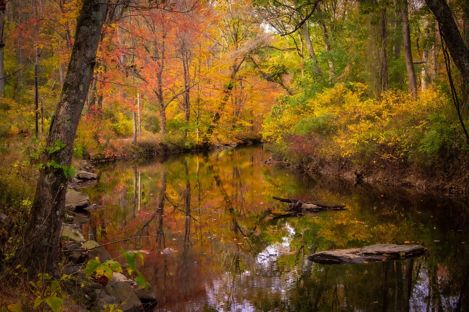 An image depicting the trail Ridley Creek Loop via Orange Trail and its surrounding area.