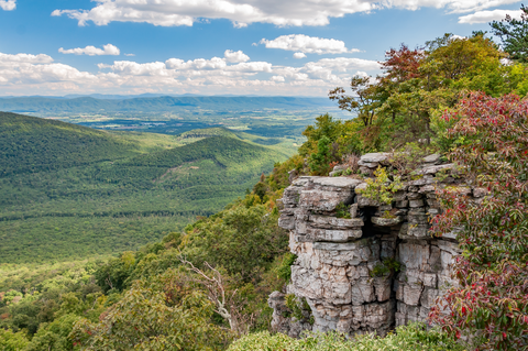 Big Schloss via Little Stony Creek Trail, Tuscarora Pond Run Trail and Mill Mountain Trail