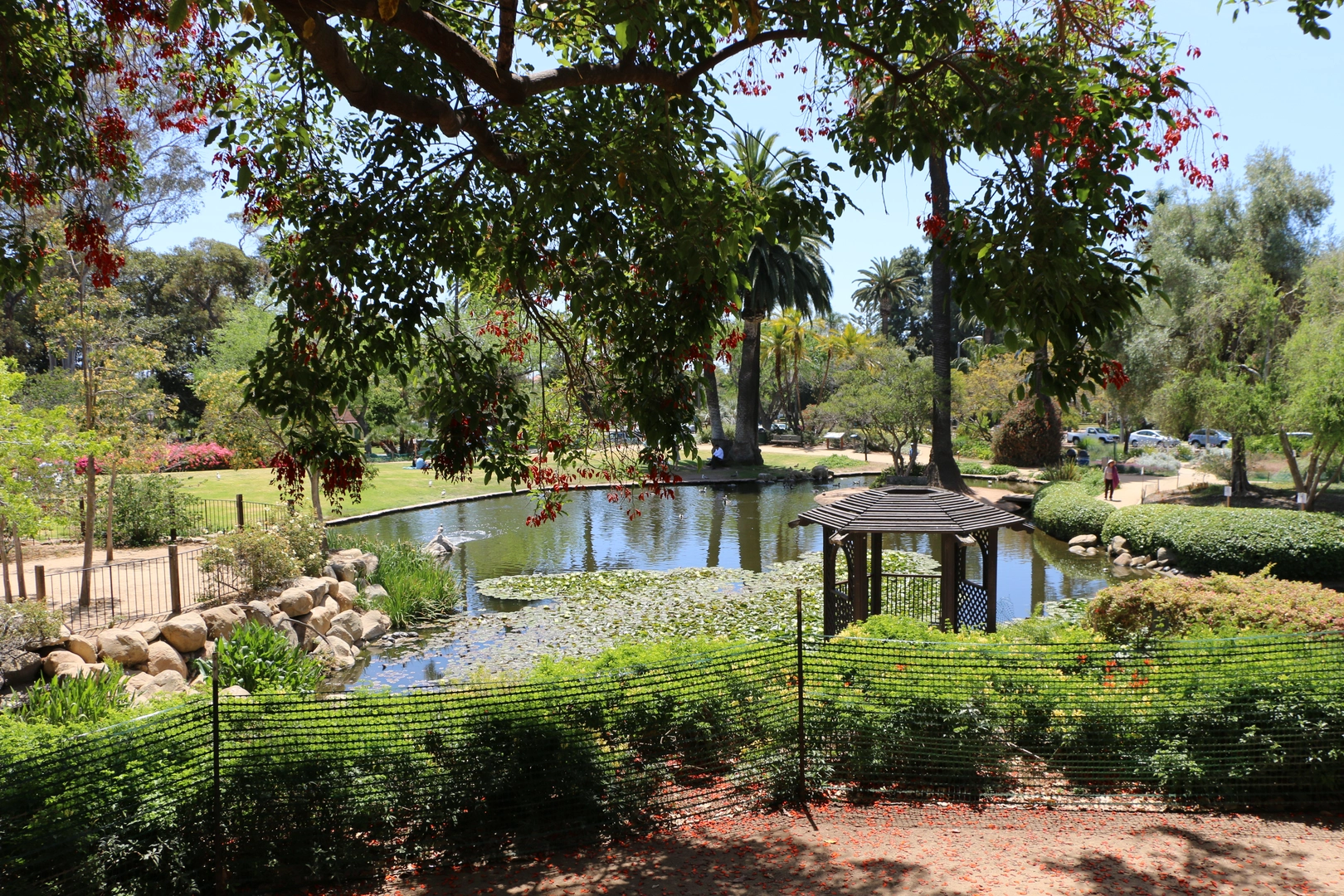 An image depicting the trail Alice Keck Park Memorial Gardens Loop and its surrounding area.