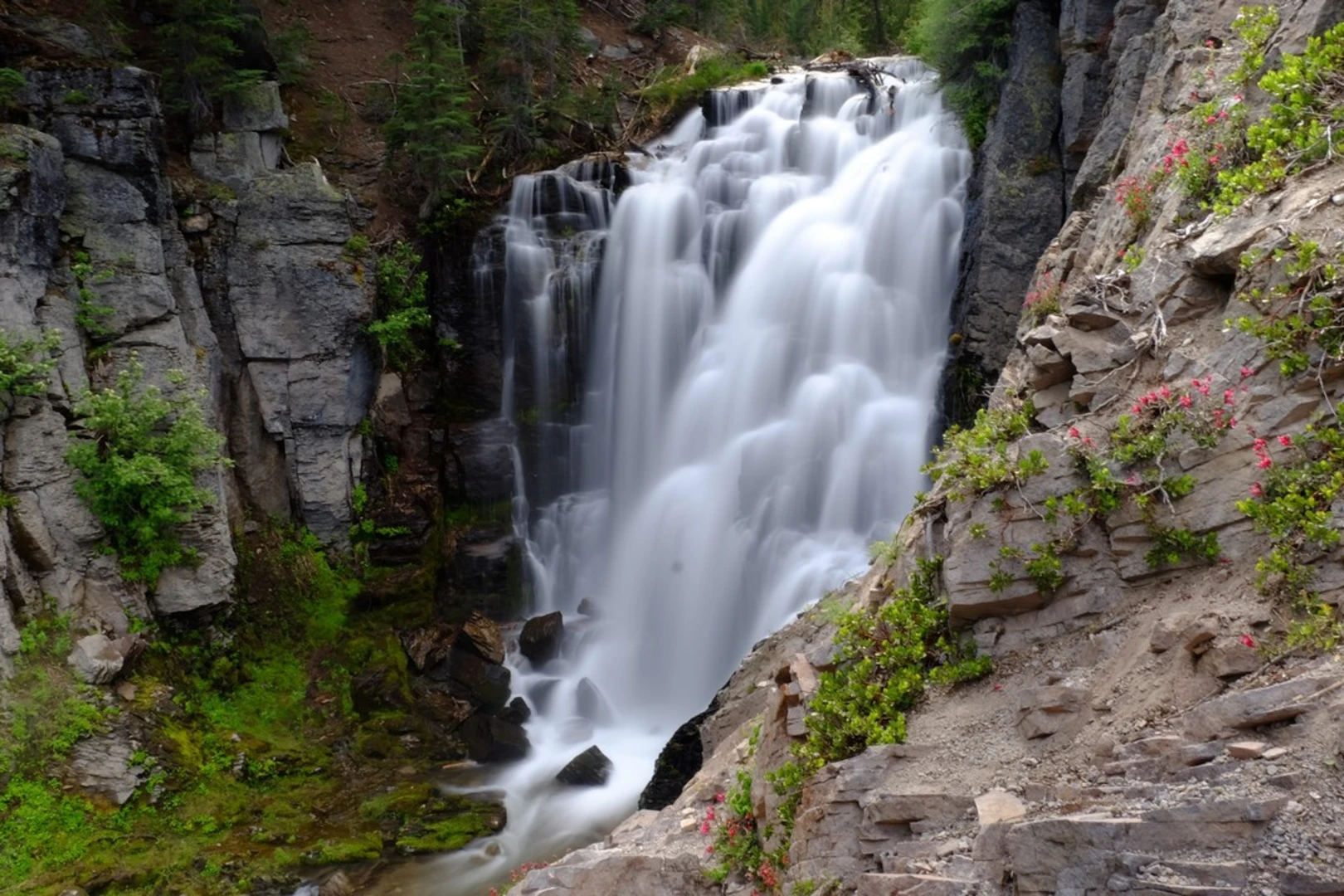 An image depicting the trail Kings Creek Trail and its surrounding area.