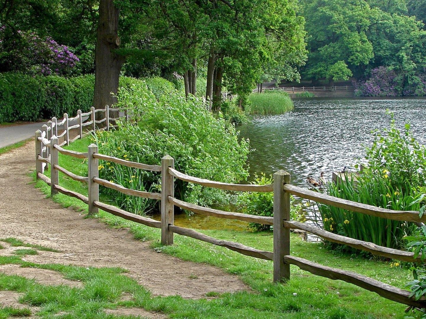 An image depicting the trail Smith's Lawn and Obelisk Pond Loop and its surrounding area.