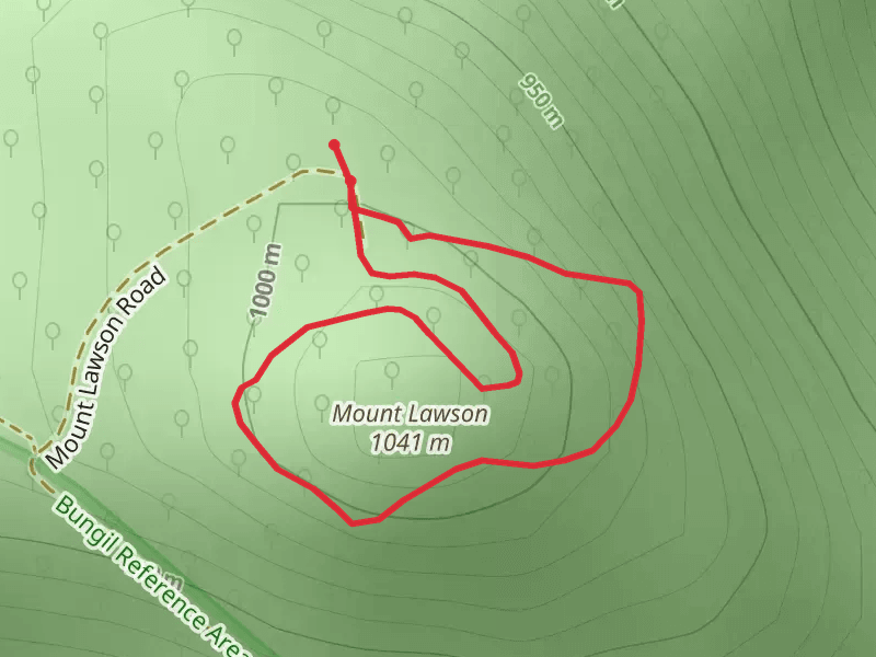 Mt Lawson Summit Walk