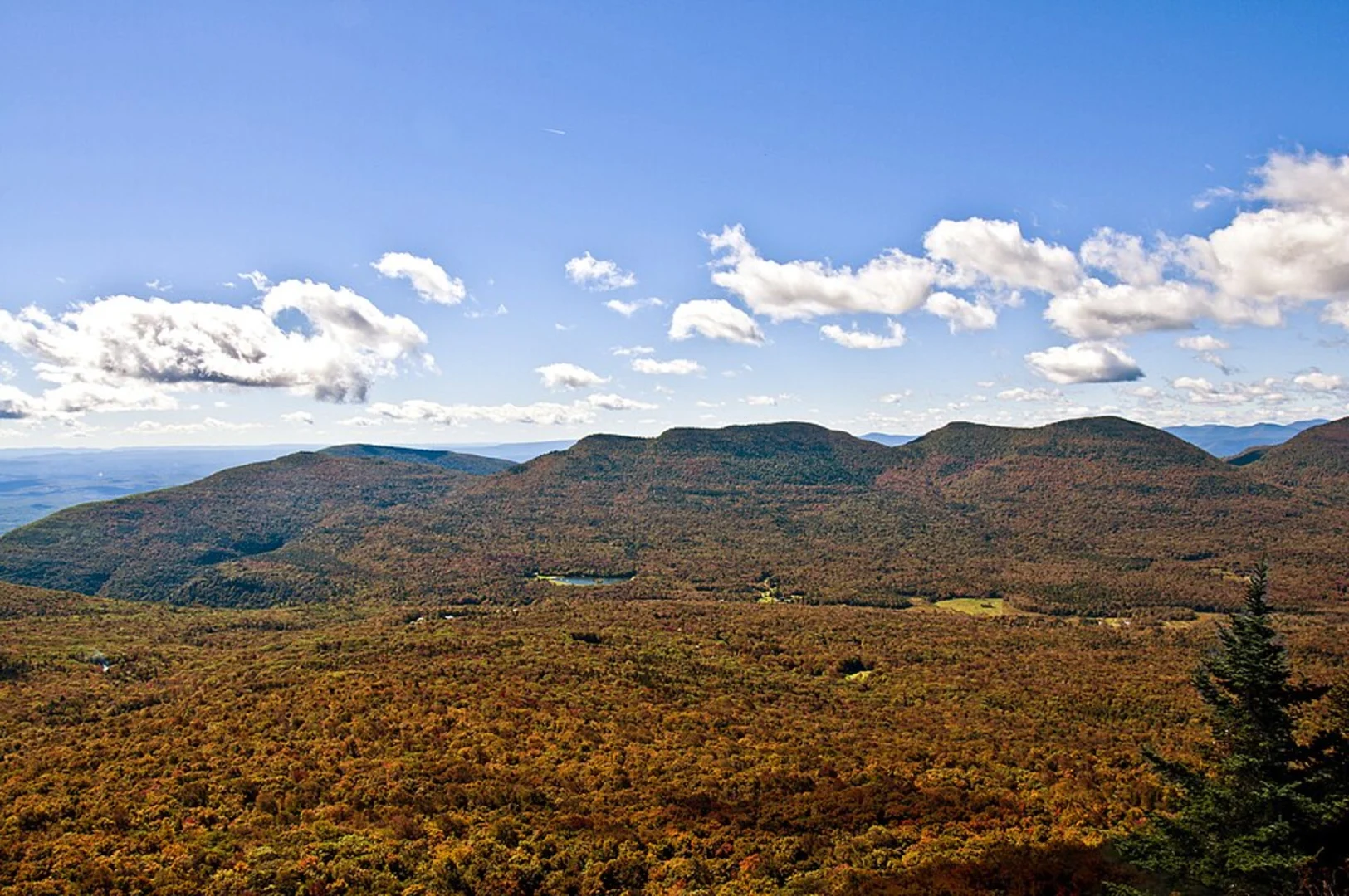 An image depicting the trail Twin Mountain via Devil's Path and its surrounding area.