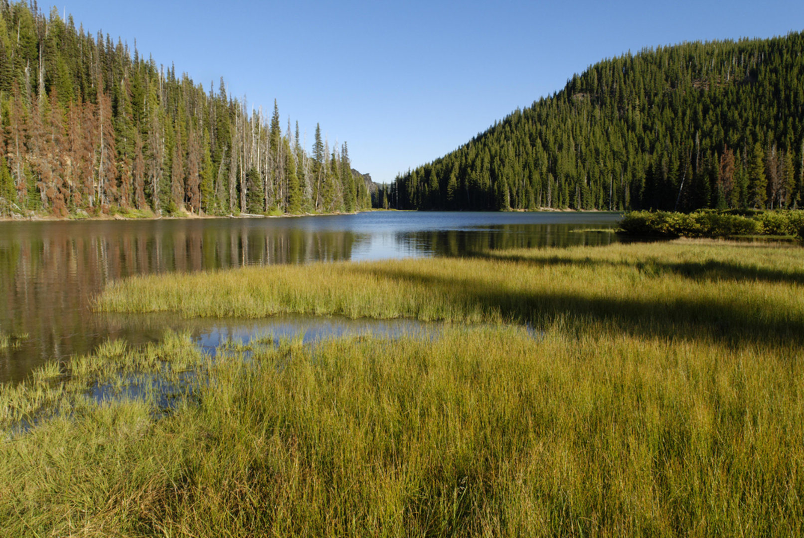 An image depicting the trail Katsuk Pond Trail and its surrounding area.